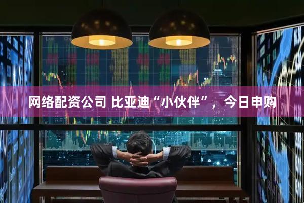 网络配资公司 比亚迪“小伙伴”,今日申购